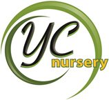 YC Nursery logo